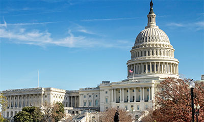 Government