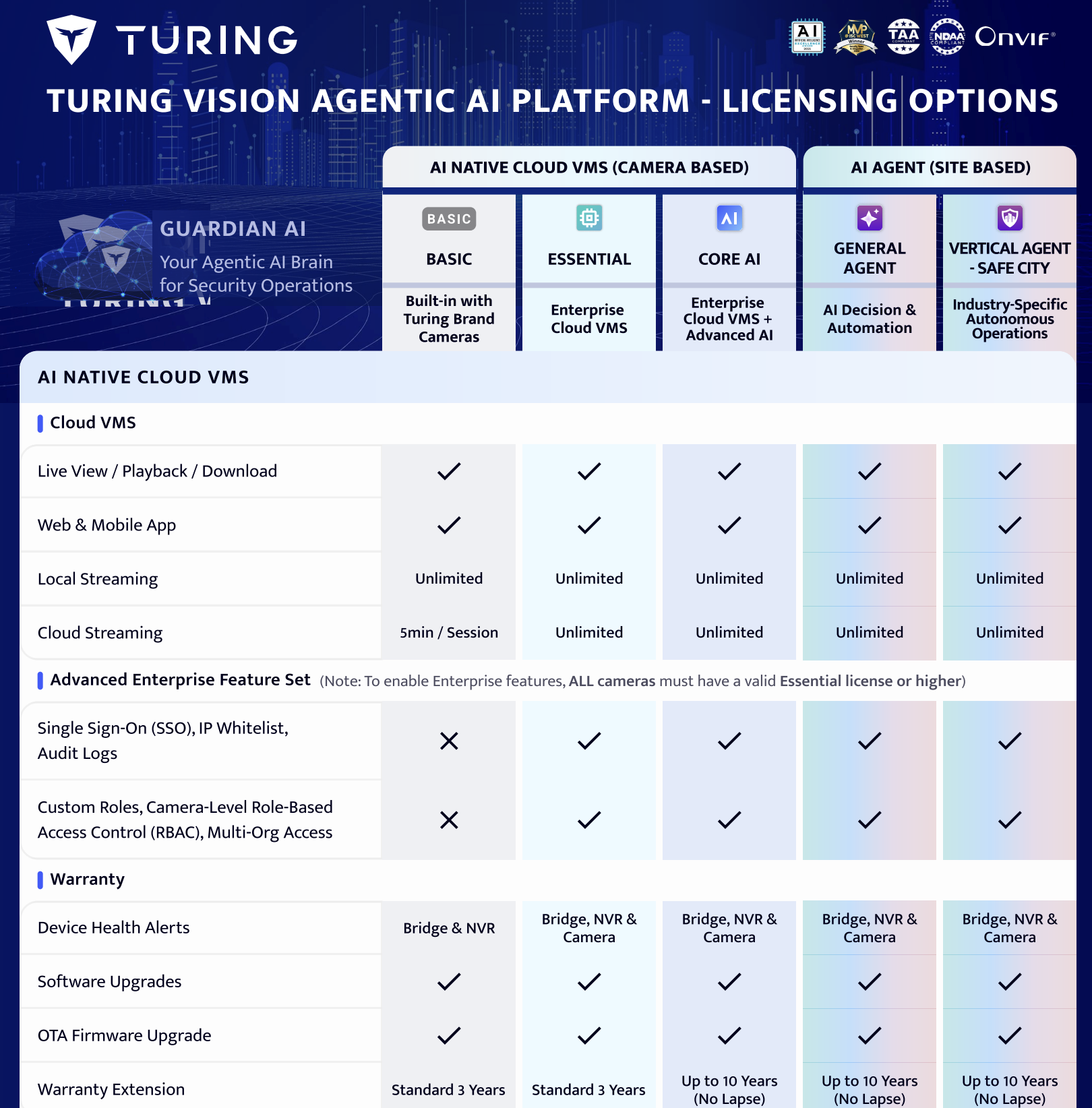 Turing AI License Offering Flyer